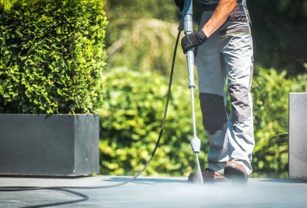 Best Roof Washing  in Stockton University, NJ