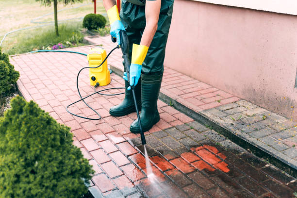 Best Gutter Cleaning  in Stockton University, NJ